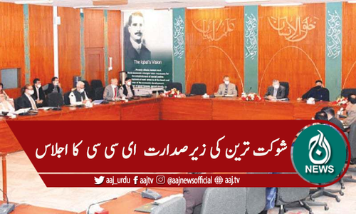 ای سی سی اجلاس، احساس ایمر جنسی کیش کی سمری موخر