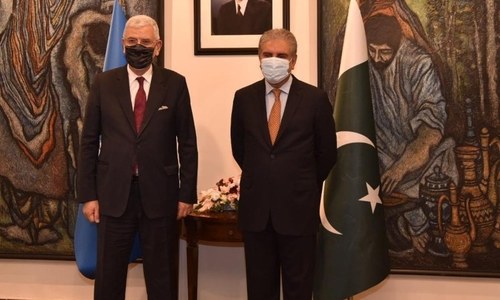 Pakistan expects UN to play its role for resolution of Palestine, IOJ&K disputes: FM