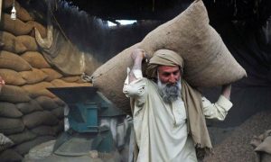 زندگی کتنی مشکل ہوگئی ہے