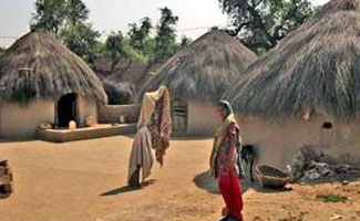 Drought in Cholistan Desert, residents asks for immediate facilitation