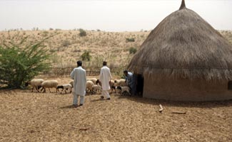 Federal, Sindh Governments working together to provide relief to Thar people