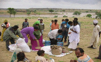 More wheat dispatched to drought stricken areas