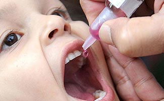 No polio case reported in Punjab