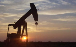 New reservoirs of oil and gas discovered in Badin