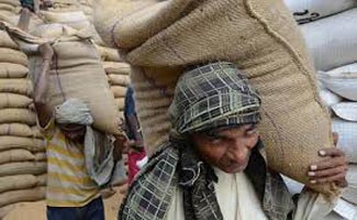 Food department in process of dispatching additional wheat to Tharparkar