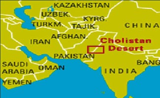 Child electrocuted, man killed in Cholistan