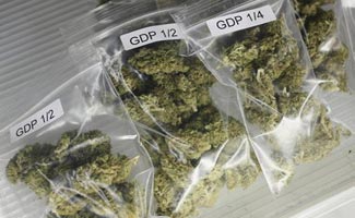 PCG seizes 420 kg hashish