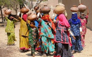 Life returns to Cholistan after rain