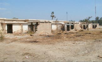 Thar is under drought due to no rain; DC Tharparkar