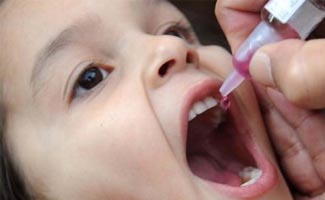 Parliamentarians stress joint strategy to combat polio menace