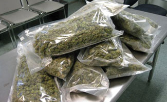 PCG seizes US $ 3mln worth Hashish