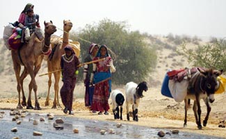 Govt releases Rs.354 mln relief to famine striken people of Thar