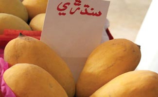 Pakistani first mangoes of the season land in United States amid  tremendous response