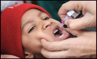 11-Dists declared high risk for anti polio drive