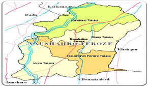 Old man drowns in canal