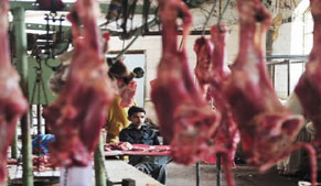 Nine butchers held for selling unwholesome meat