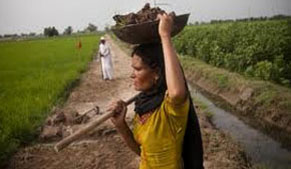 150 farmers booked for water theft