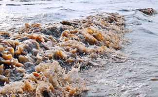 Flood rages outside Multan