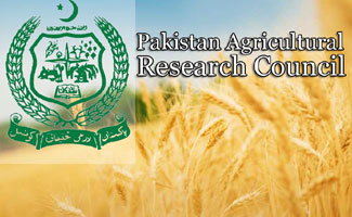 WPEP provided an opportunity of global science Pakistan: Iftikhar