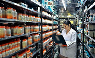 Action against unregistered herbal companies: 37 sealed,40 arrested