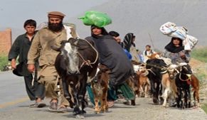 Govt committed to facilitate IDPs: Baloch