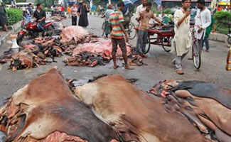 Setting up camps to collect hides banned: Secretary Home