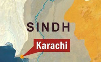 Alleged robber arrested