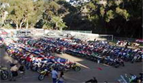 157 motorcycles impounded