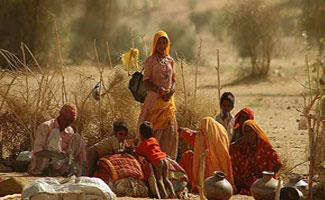 Thar's situation needs to be looked in true perspective, says Rubina