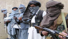 Key commander among five militants killed in FR Peshawar