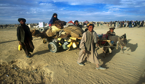 Afghan refugees commence shifting to camps