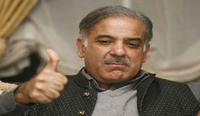 PML-N govt committed to establish peace in country, Shahbaz