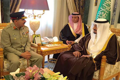 Gen Rashad meets Saudi Arabian leadership