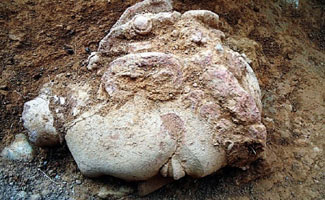 Biggest ever death scene of Buddha, images of Buddha with double halos discovered at ancient Buddhist site near Taxila