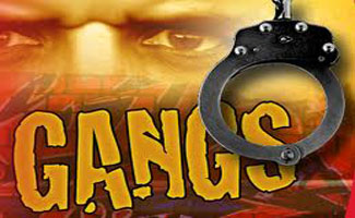 199 members of 83 gangs held in February