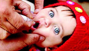97 per cent children vaccinated