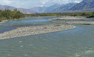 One drowns in river Sindh