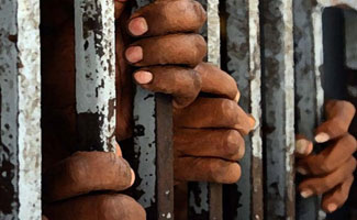 1,500 Pakistanis in UAE jails: Senate told