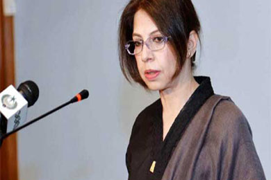 Pakistan in contact with Muslim countries to find solution of Yemen crisis