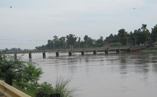 'Govt working hard for removal of hurdles in exports'