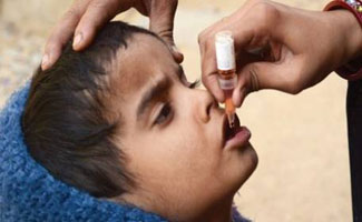 Sindh govt lauded for improving polio situation