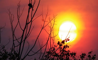 Hot, dry weather likely in Karachi