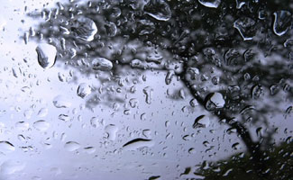 Six people pass away in Gujranwala catastrophic rain