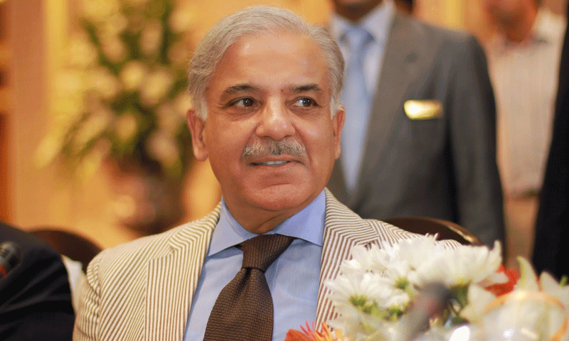 PM recovering fast, will return soon, says Shahbaz