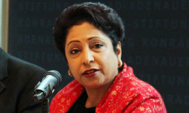 Peace in Afghanistan vital to banish terror from region: Maleeha