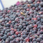 It is time to beat the heat with refreshing `Falsa&acirc;&euro;&trade;