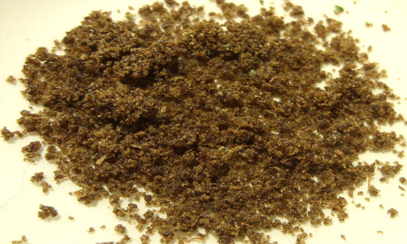 ANF seizes huge quantity of Hashish