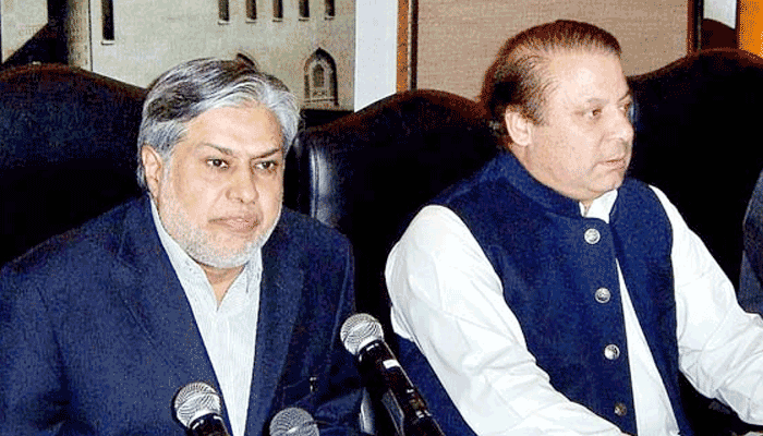 PPP decides to file references against PM, CM, Dar, others