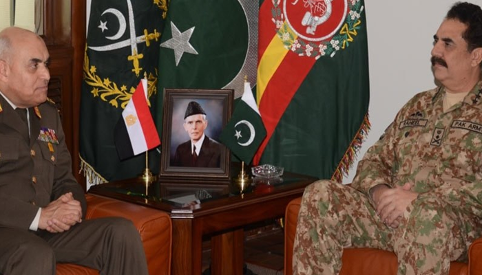Pakistan, Egypt vow to synergise efforts to fight terrorism