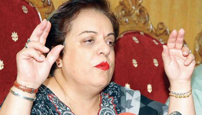 PTI raises questions on military exercise with Israel